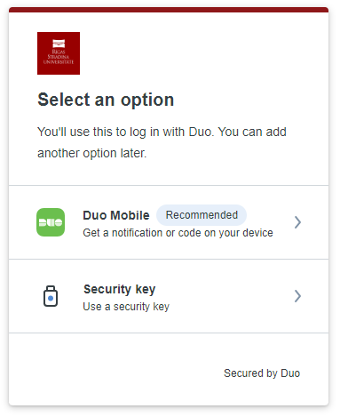 DUO authentication options